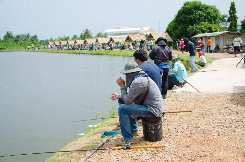 (เพิ่มรูปครับ )ภาพบางส่วนแมทช์ 500 ลุ้น 50000 ที่ผ่านมาของบ่อกำนันลือชา