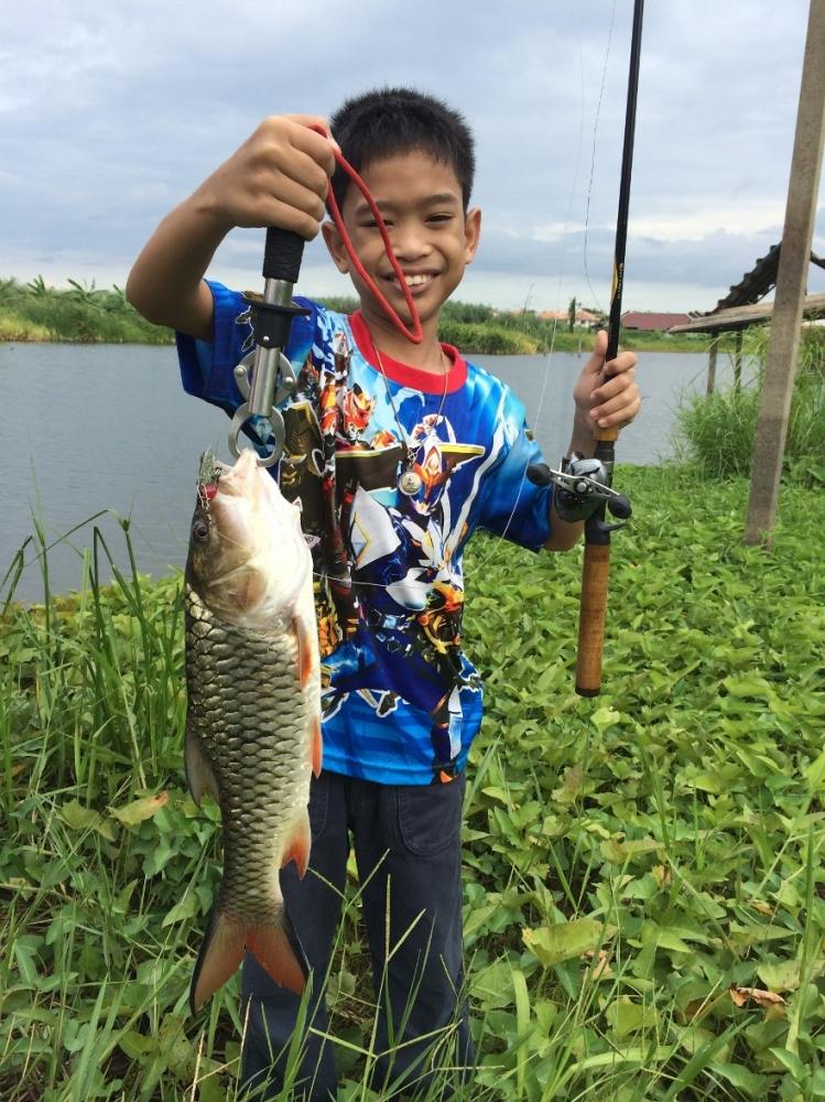 กระสูบหลงในบ่อตกปลา (snakehead Angler club team)