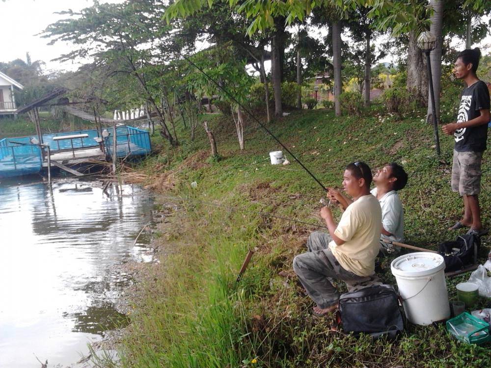 สะปิ๋ว โบนันซ่าเขาใหญ่ปากช่อง