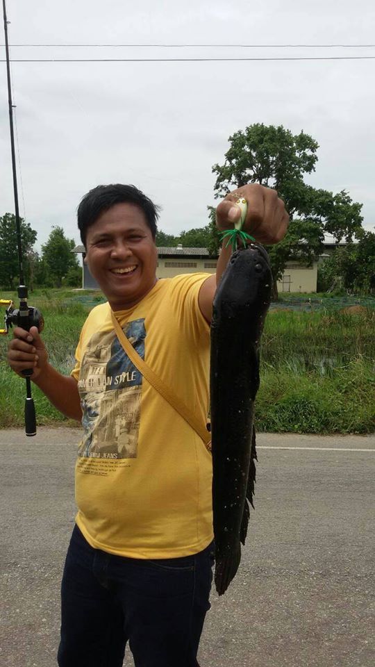 "ฉีด"ฉีด" จากเพื่อน by กบพันธุ์ฉีด 1-FREEDOM