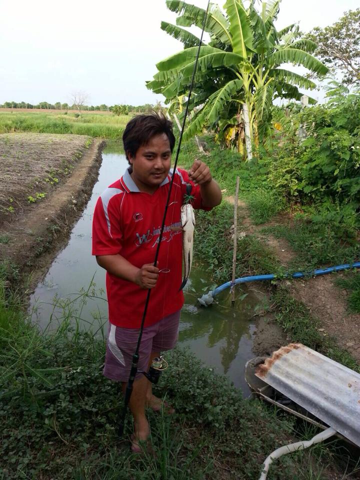 "ฉีด"ฉีด" จากเพื่อน by กบพันธุ์ฉีด 1-FREEDOM