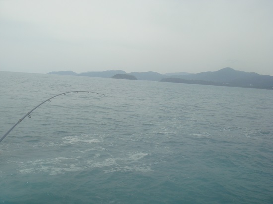 เทส !!!!micro jig!!!! 