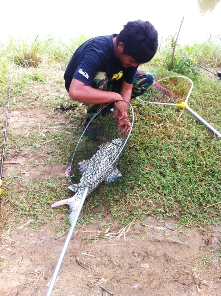 เปิดบ่อ ม.1 โนนตากแดด 2-3 ส.ค.57 สัปห์ดาที่ 3 ผ่านไป กินแหลก แจกกระจ่าย 