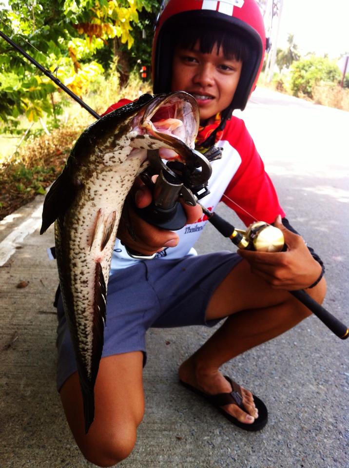 ความสุขของผม ...