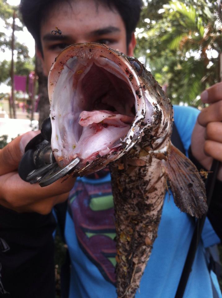 ความสุขของผม ...