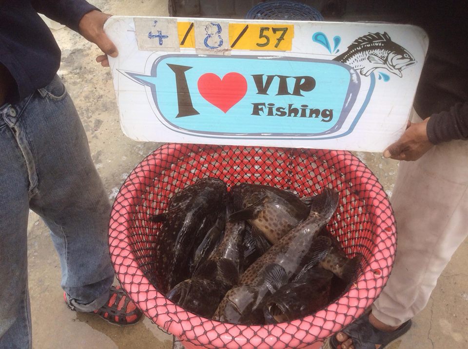 กรี๊ด! บ่อ VIP ลงปลาใหม่ชิงๆ