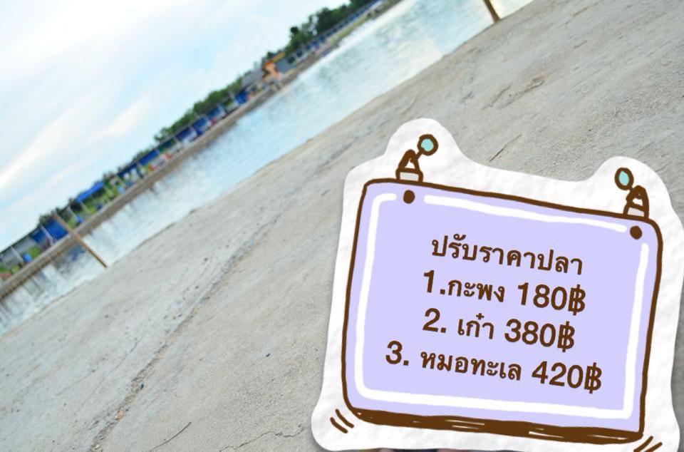 กรี๊ด! บ่อ VIP ลงปลาใหม่ชิงๆ
