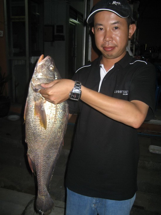 ตอม่อท่าสะอ้าน ม.บางปะกง