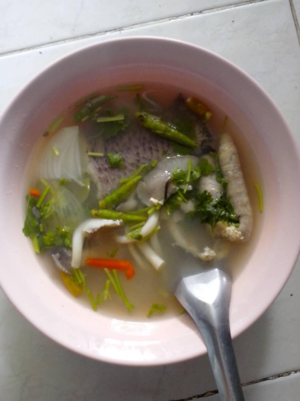 ชะโดของบัง