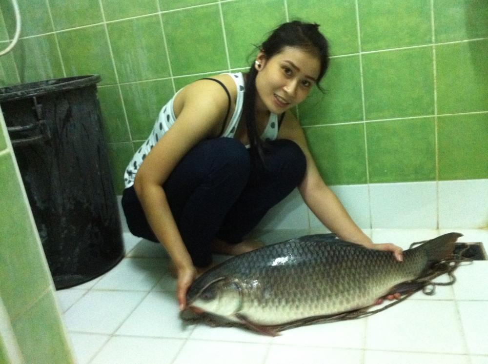 สปิ๋ว...บ้านๆ