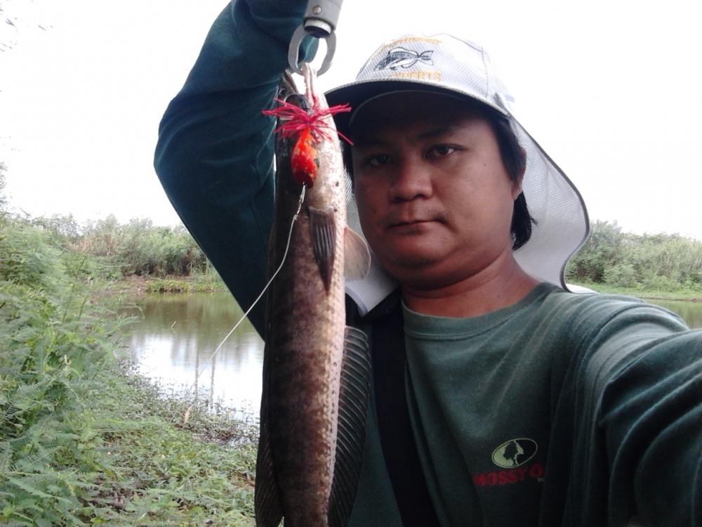 พอหายคัน