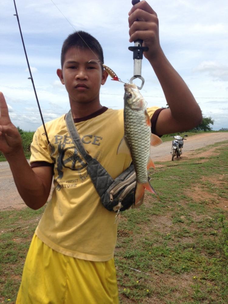 กระสูบบ้านๆ2