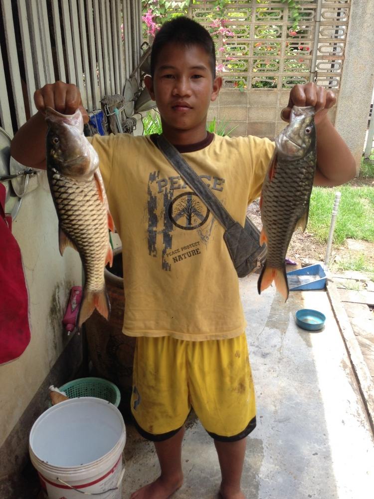 กระสูบบ้านๆ2