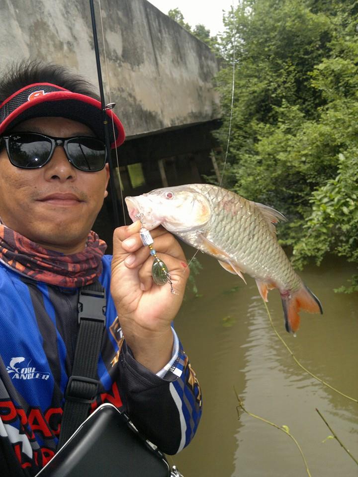 ลองกรอดู ดิ๊2