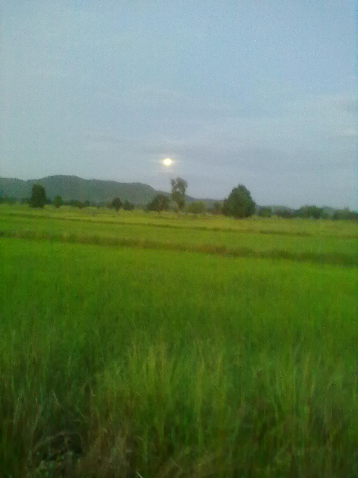 เช้าจรดเย็น