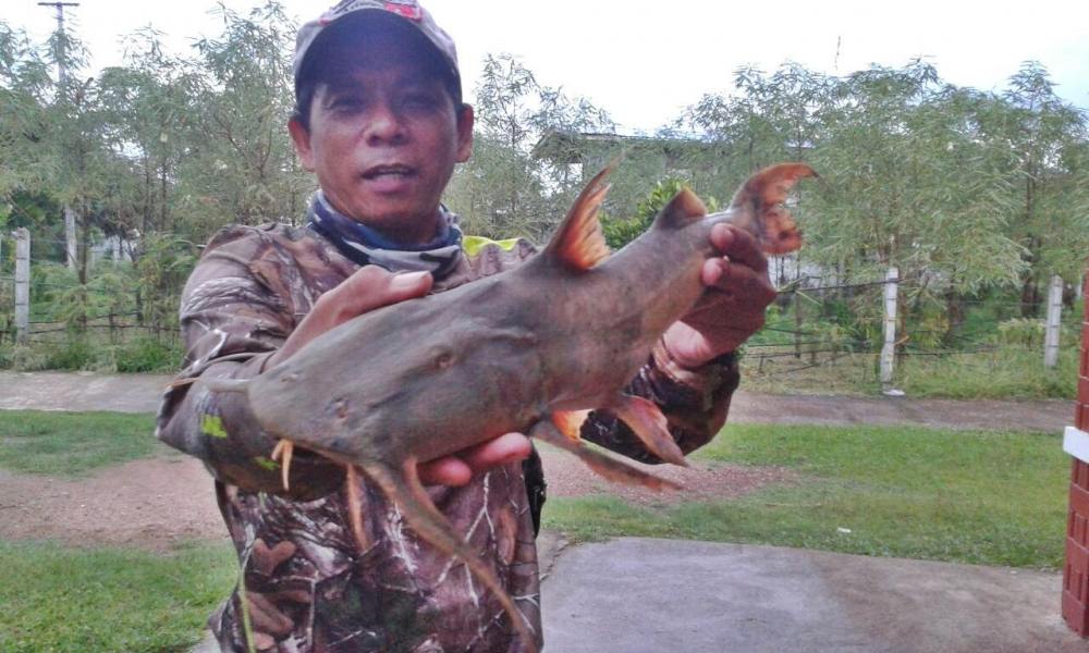 ตกปลาวันแม่2