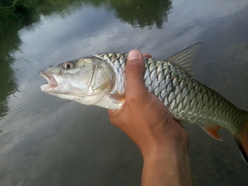 catch and release ความสุขไม่ใช่การครอบครอง