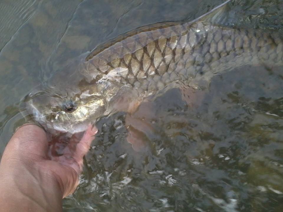 catch and release ความสุขไม่ใช่การครอบครอง