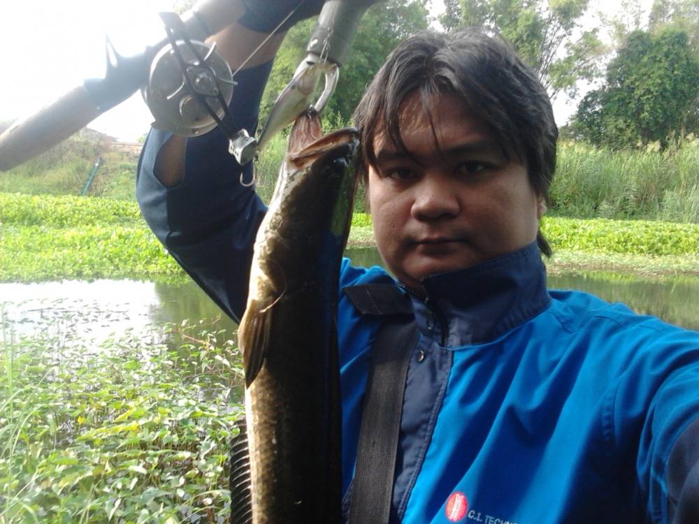 ช่อนกับดำตื้น