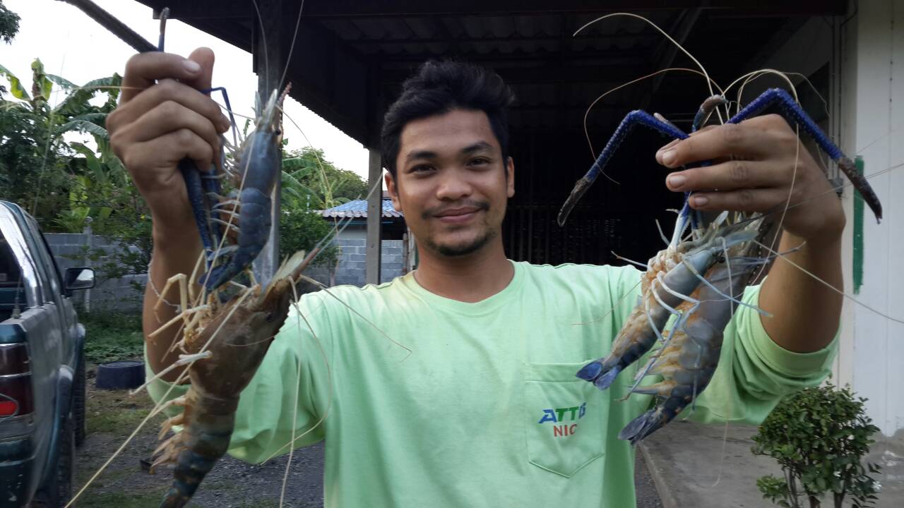 กุ้งๆๆๆๆๆ(3)