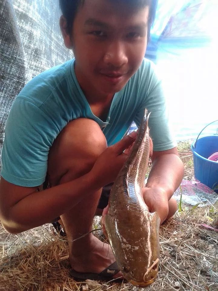 ส่งมาสามวันติดน้าๆอย่ารำคาญนะคับ