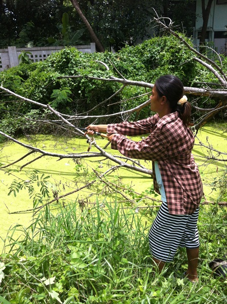 ตีปลาเป็นคู่ 