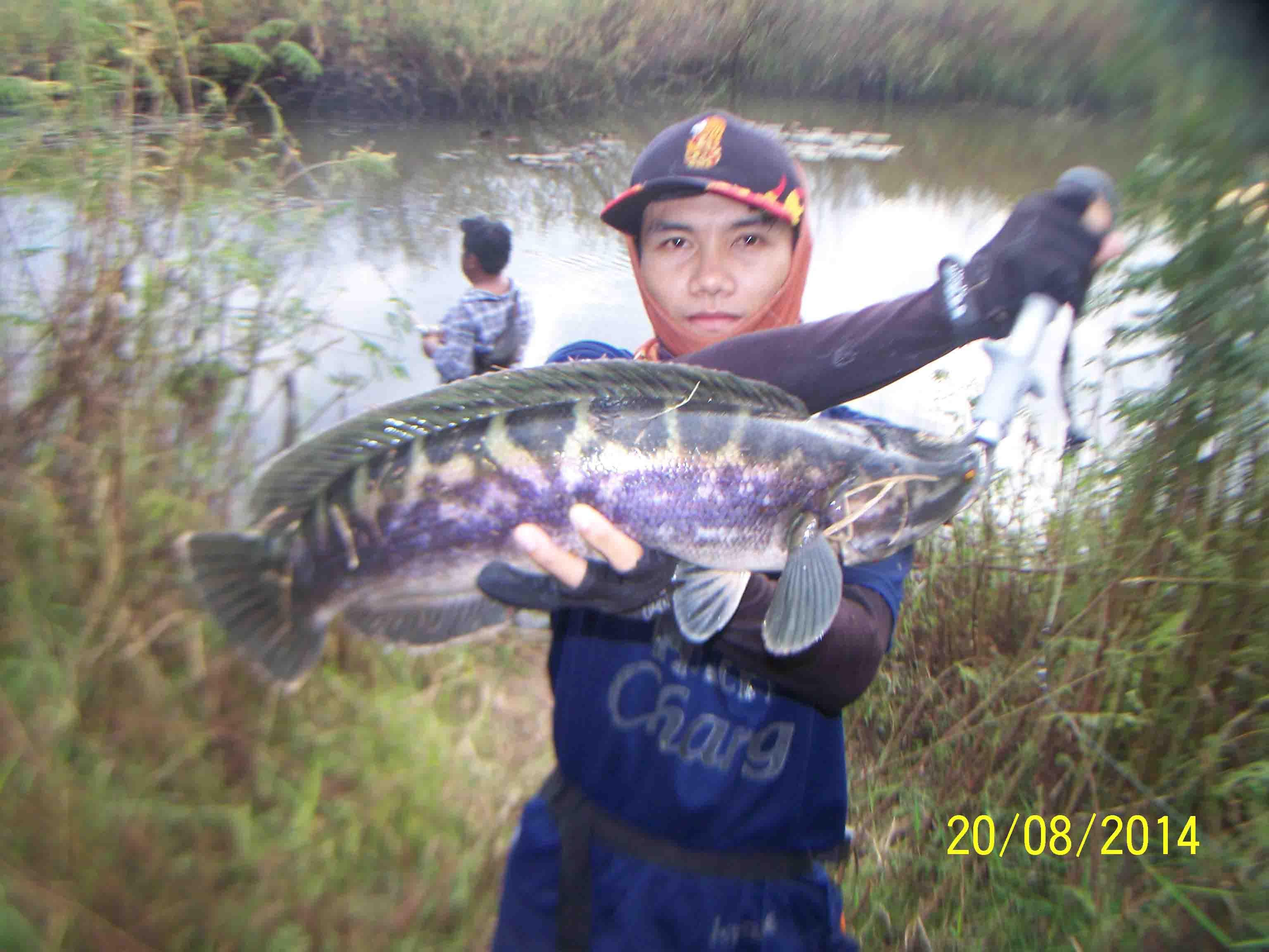 ...โดนอีกตัวครับ...ชะโด..แม่มูล..หลังเลิกเรียน....