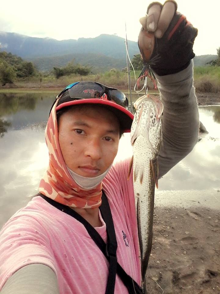 หลังแอ่นไม้สัก2