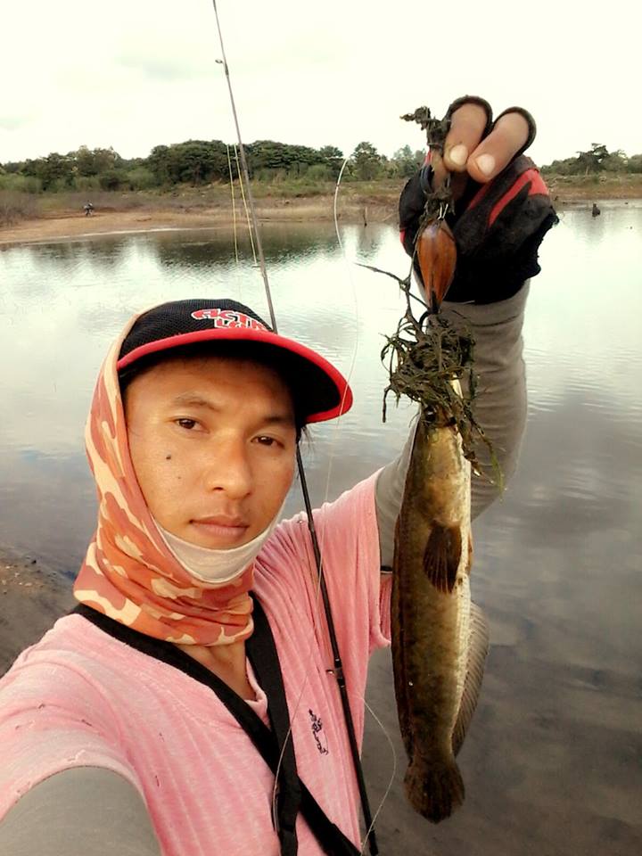 หลังแอ่นไม้สัก2