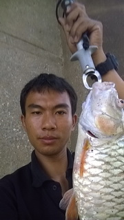กระสูบใหญ่อ่างทอง
