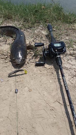 วันว่างๆๆปัยตกช่อนกัน กับทีม Amata Fishing ขอบคุณความสนุกนี้จากทีมงาน พานทอง 47