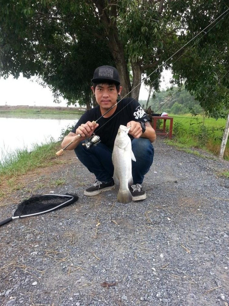 < ULTRALIGHT FISHING.> Barramundi & Asian redtail catfish 