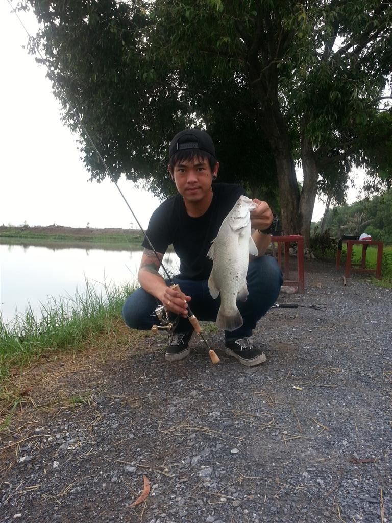 < ULTRALIGHT FISHING.> Barramundi & Asian redtail catfish 