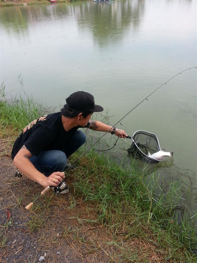 < ULTRALIGHT FISHING.> Barramundi & Asian redtail catfish 