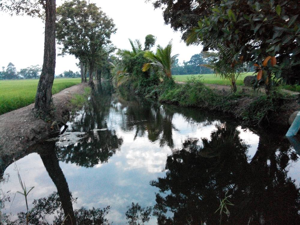 เดินเล่นคลองน้อยๆครับวันนี้