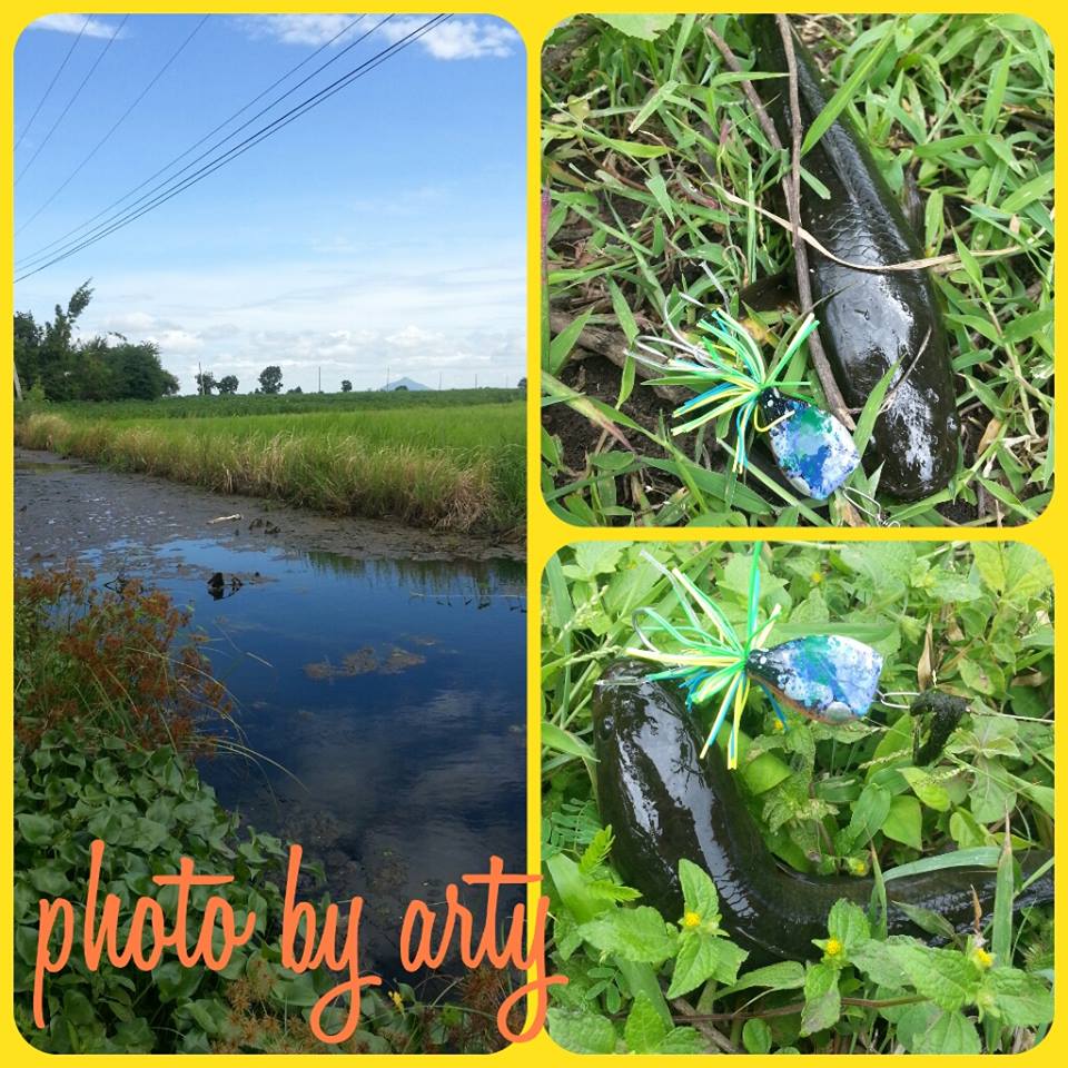 หวานเย็นทำงาน ปลารวม2 วัน