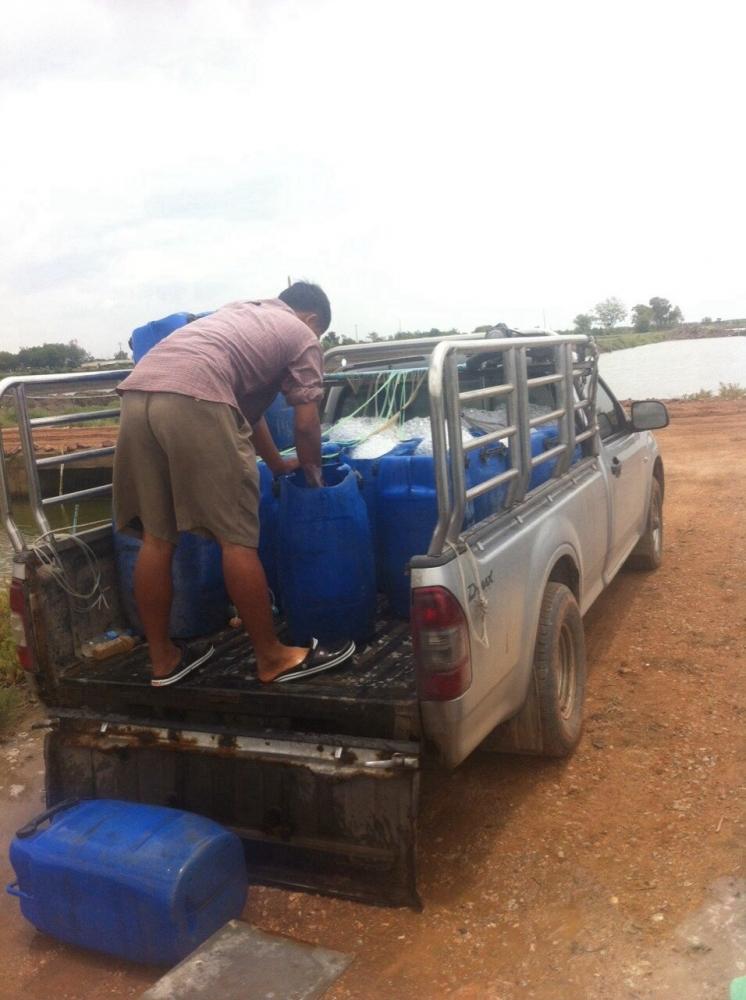 บ่อเรือโบราณ ลงกระพง ไซร์1โล ถึง โลครึ่ง(ใกล้เปิดบริการแล้ว)