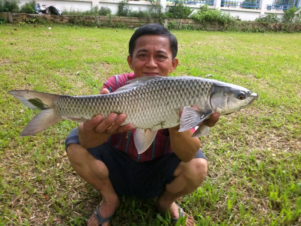 ปลาอะไร