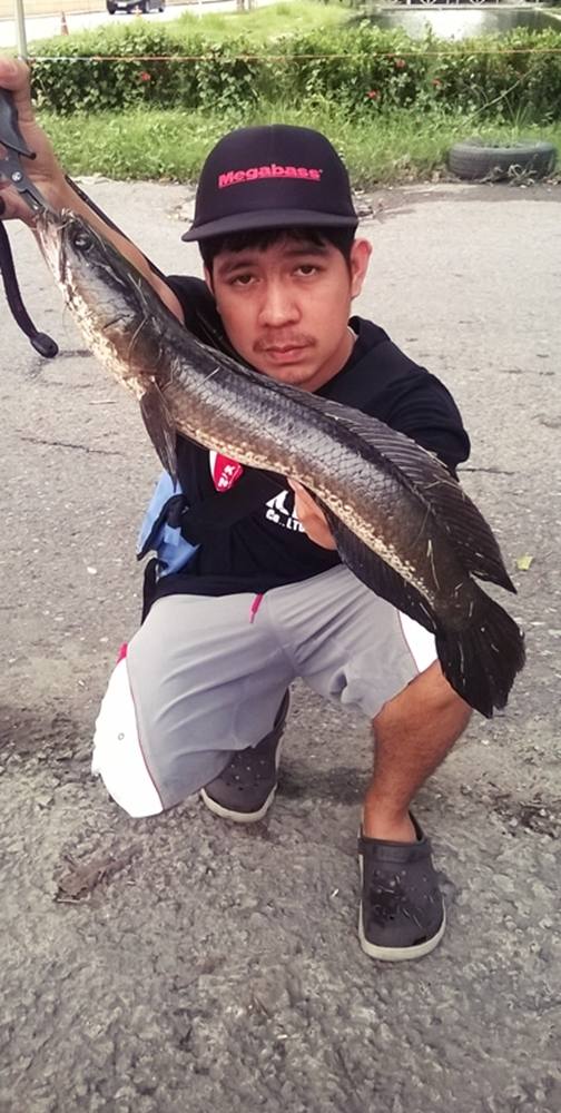 แอบมาฝึก Street fishing