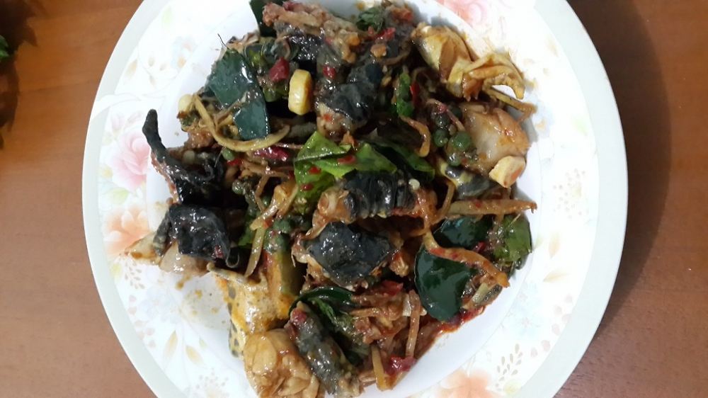 ผัดเผ็ดกบนาครับ