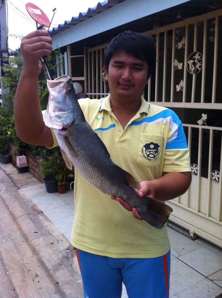 ไปมาและ บ่อไต๋ออย