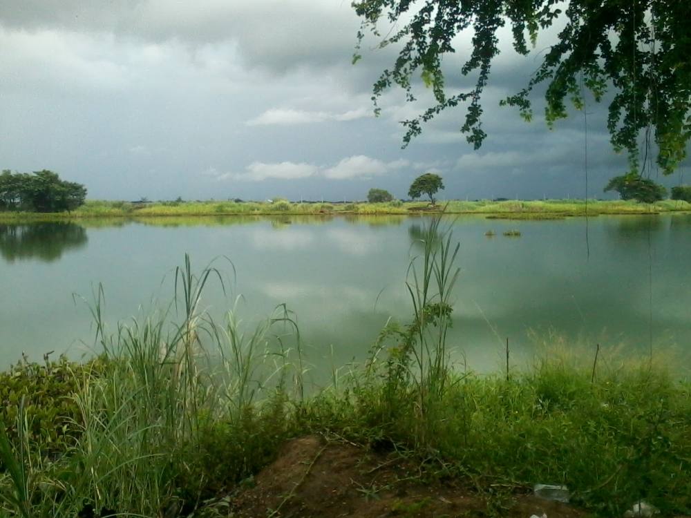 บ่อไผ่ดำในวันฝนพรำๆ(แต่เยอะไปนิด)