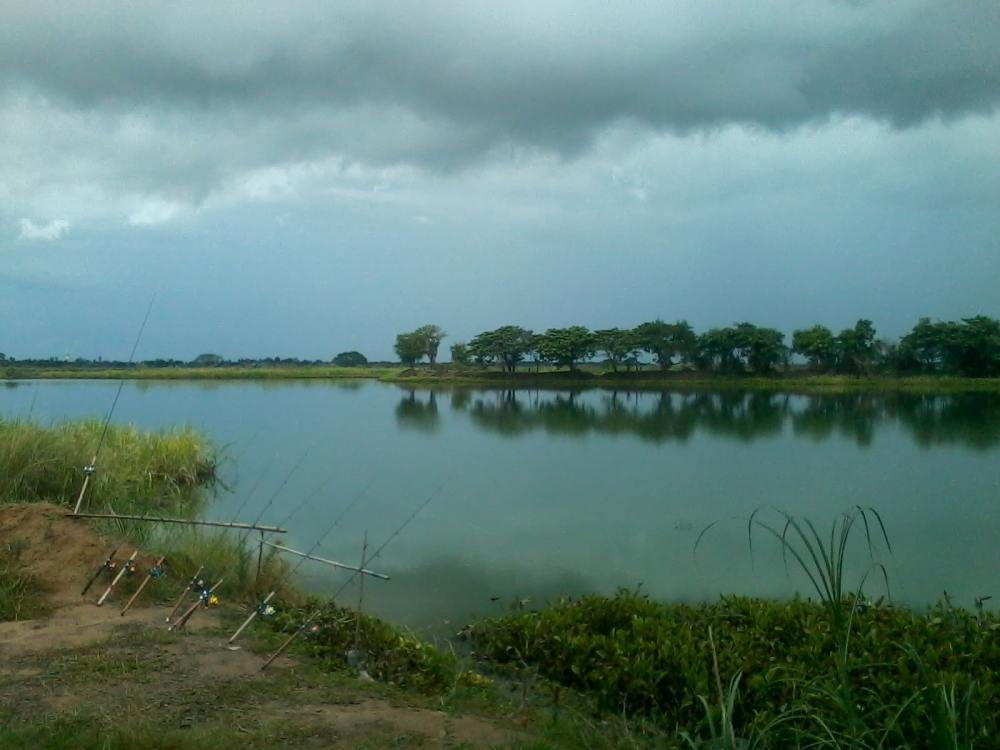 บ่อไผ่ดำในวันฝนพรำๆ(แต่เยอะไปนิด)