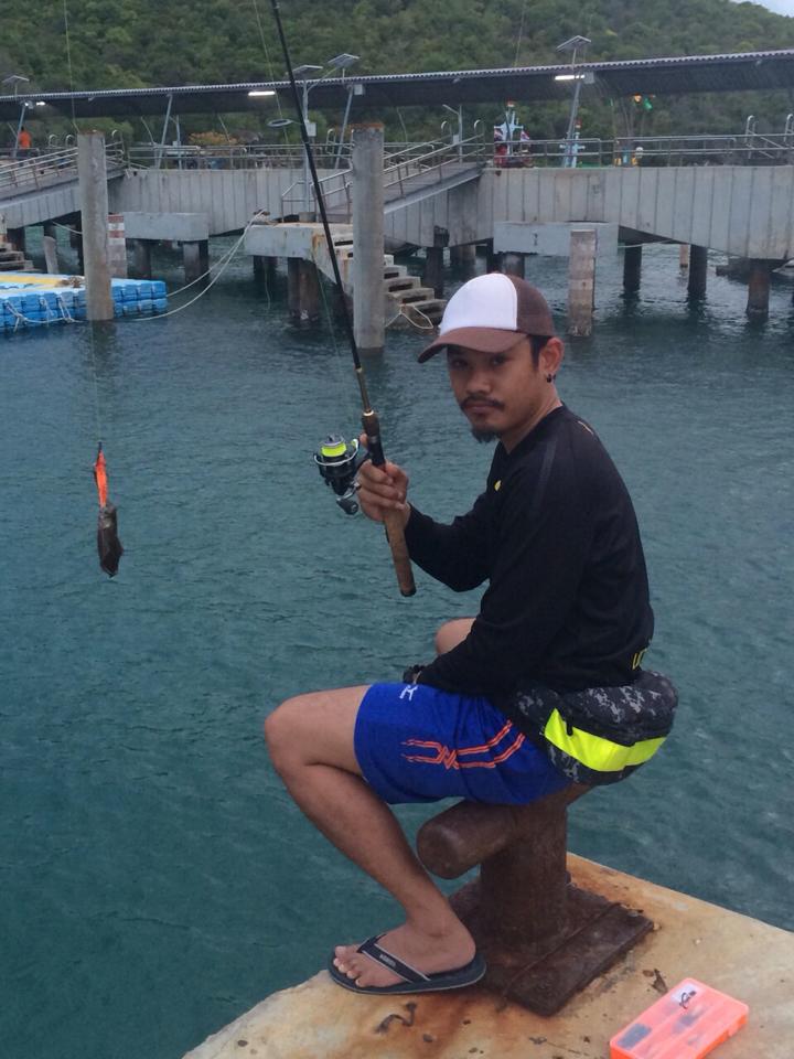 หมึกตัวน้อย@เกาะล้าน