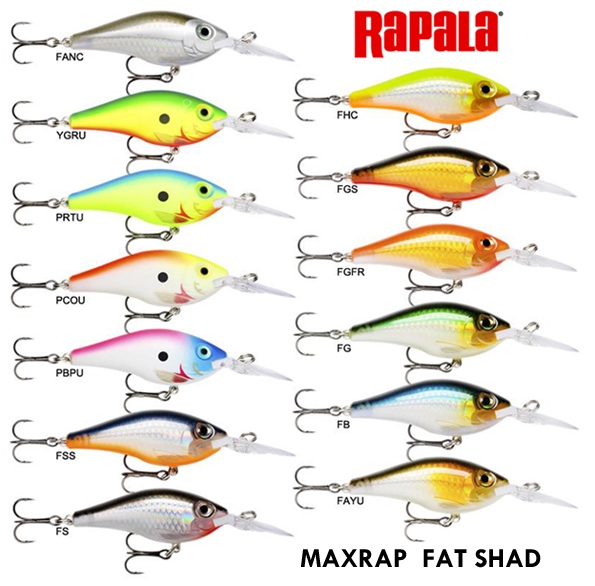    MAXRAP FAT SHAD   