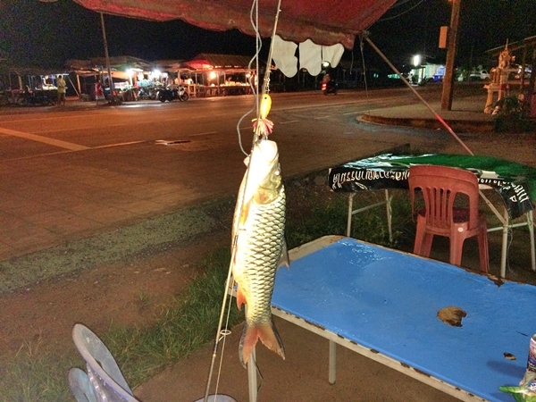 เทสเหยื่อรวมๆ(เก็บวันละนิด 20)