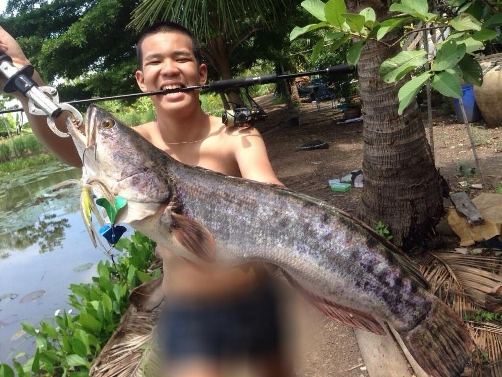GNหมายส่วนตัวครับGN