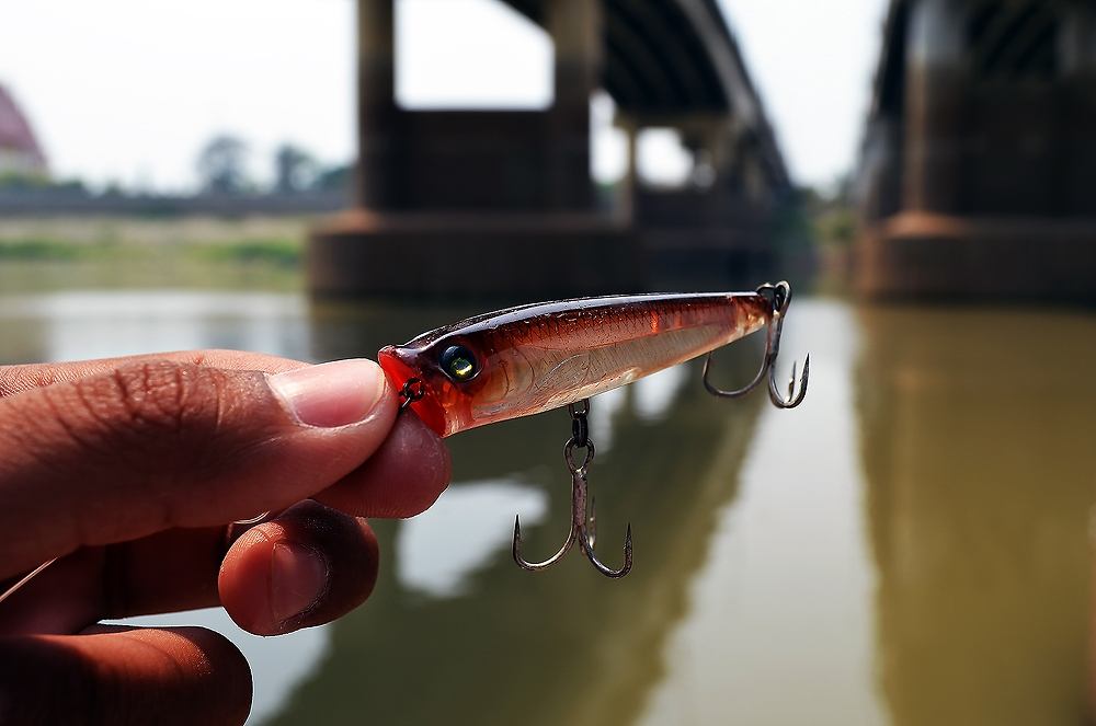 ...... ถล่มวัง ปลาแม่น้ำ ! Chaophaya River Red สุดมันส์ ....