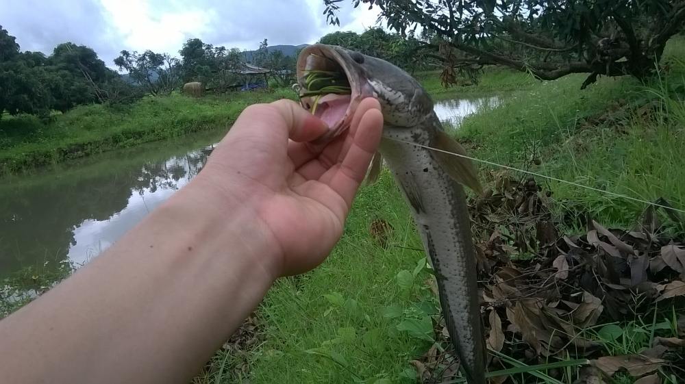 สุขใดไหนเล่า เท่าอยู่บ้าน @ เชียงราย