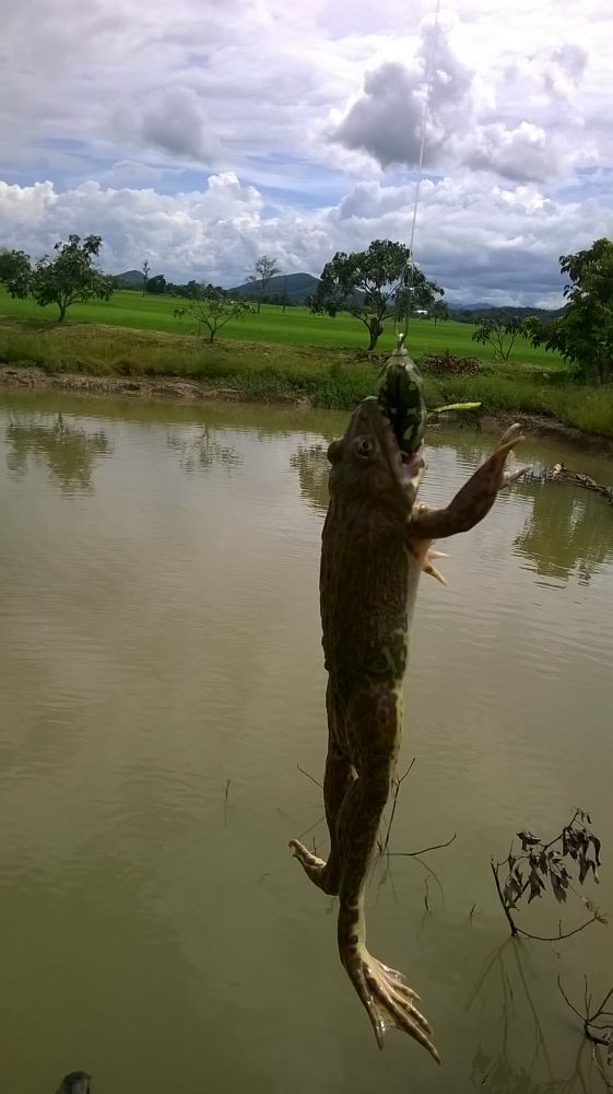 สุขใดไหนเล่า เท่าอยู่บ้าน @ เชียงราย